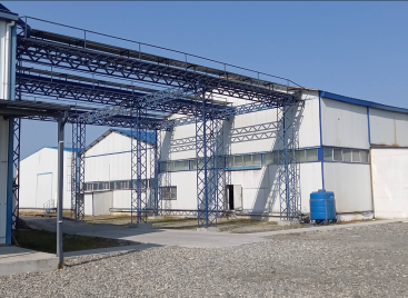 ზუგდიდის თხილის ქარხანა